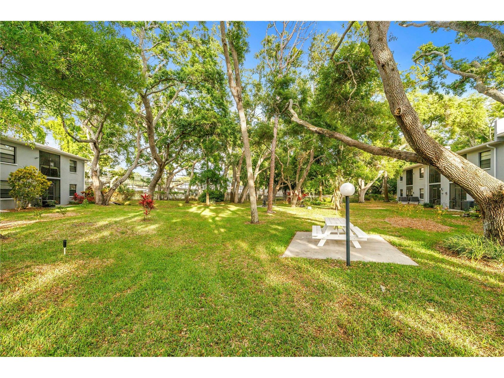 11800 Park Boulevard #104 Seminole FL 33772 TB8494907 image37