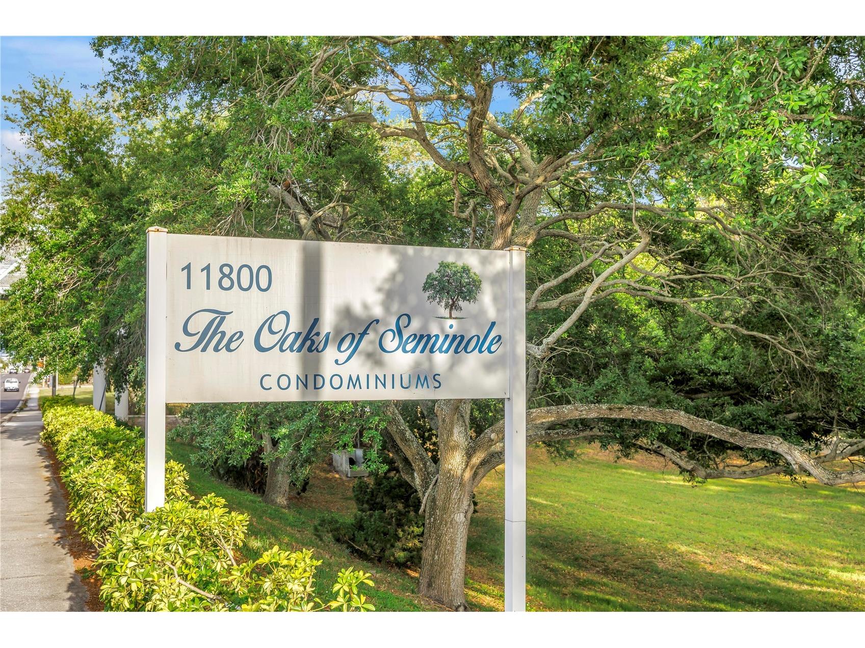 11800 Park Boulevard #104 Seminole FL 33772 TB8494907 image45