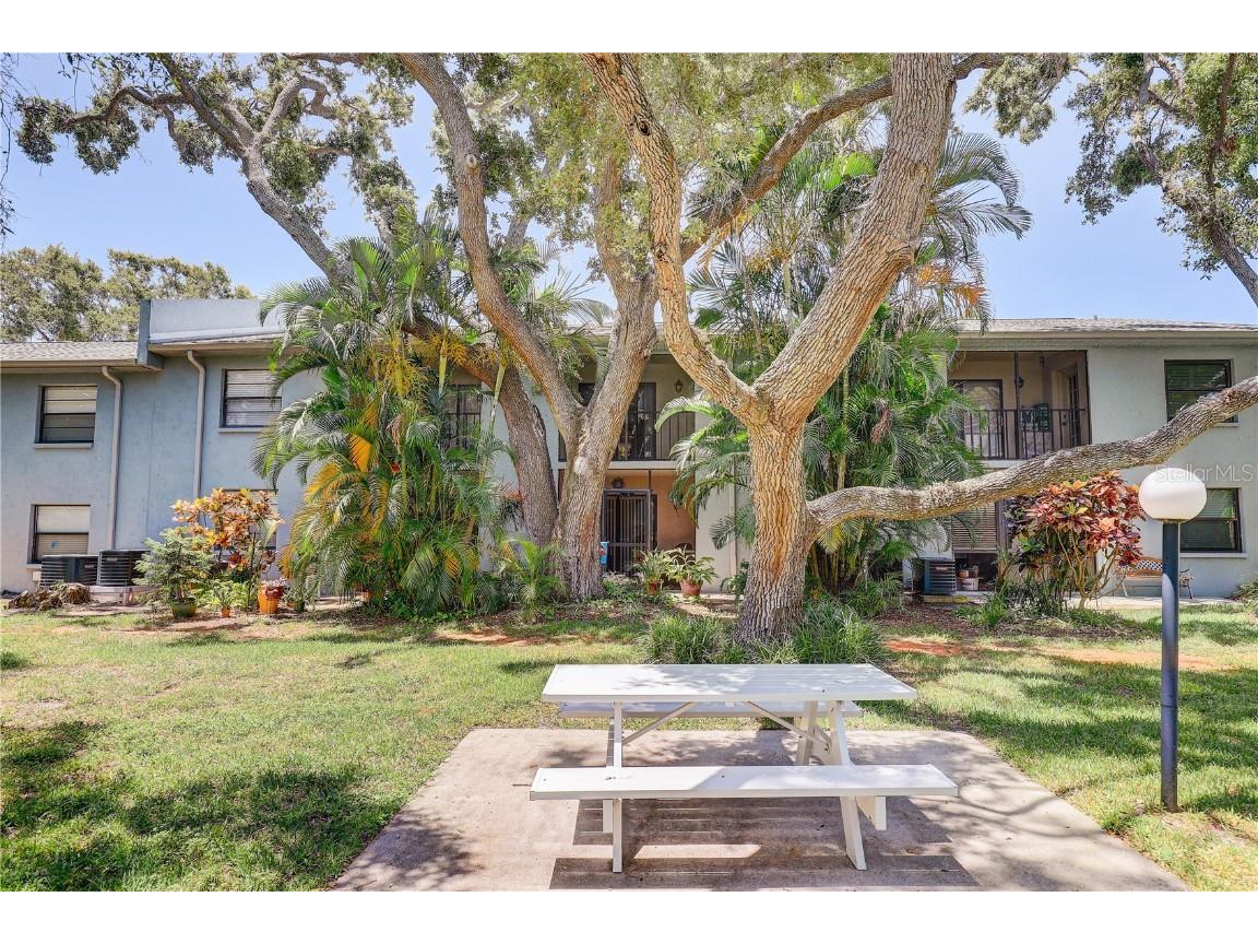 11800 Park Boulevard #208 Seminole FL 33772 TB8391025 image30