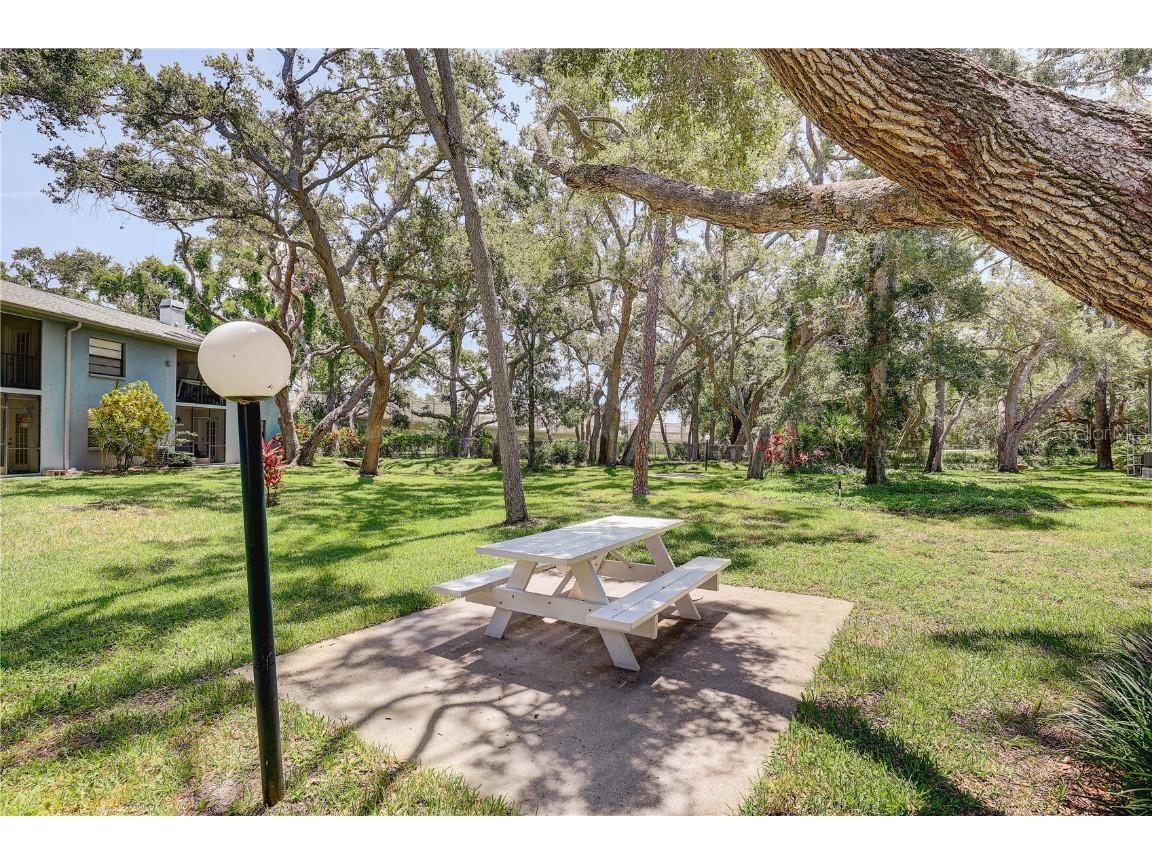 11800 Park Boulevard #208 Seminole FL 33772 TB8391025 image31