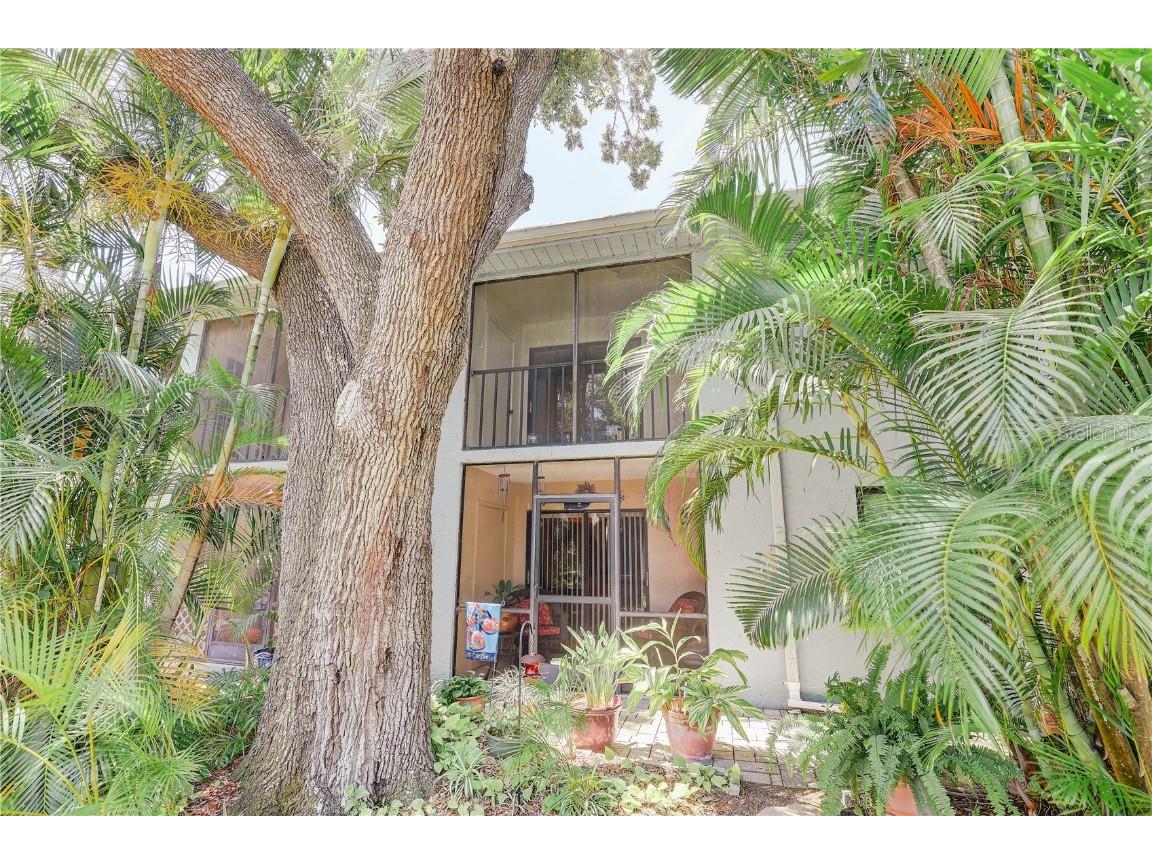 11800 Park Boulevard #208 Seminole FL 33772 TB8391025 image32