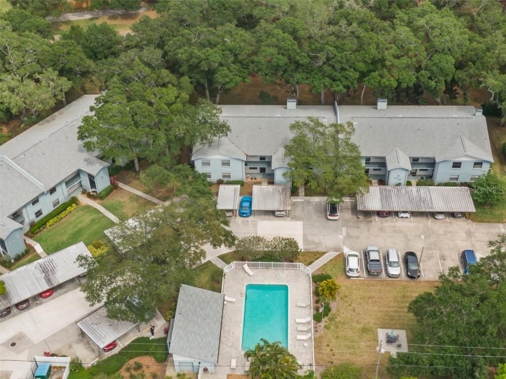 11800 Park Boulevard #308 Seminole FL 33772 T3439552 image1