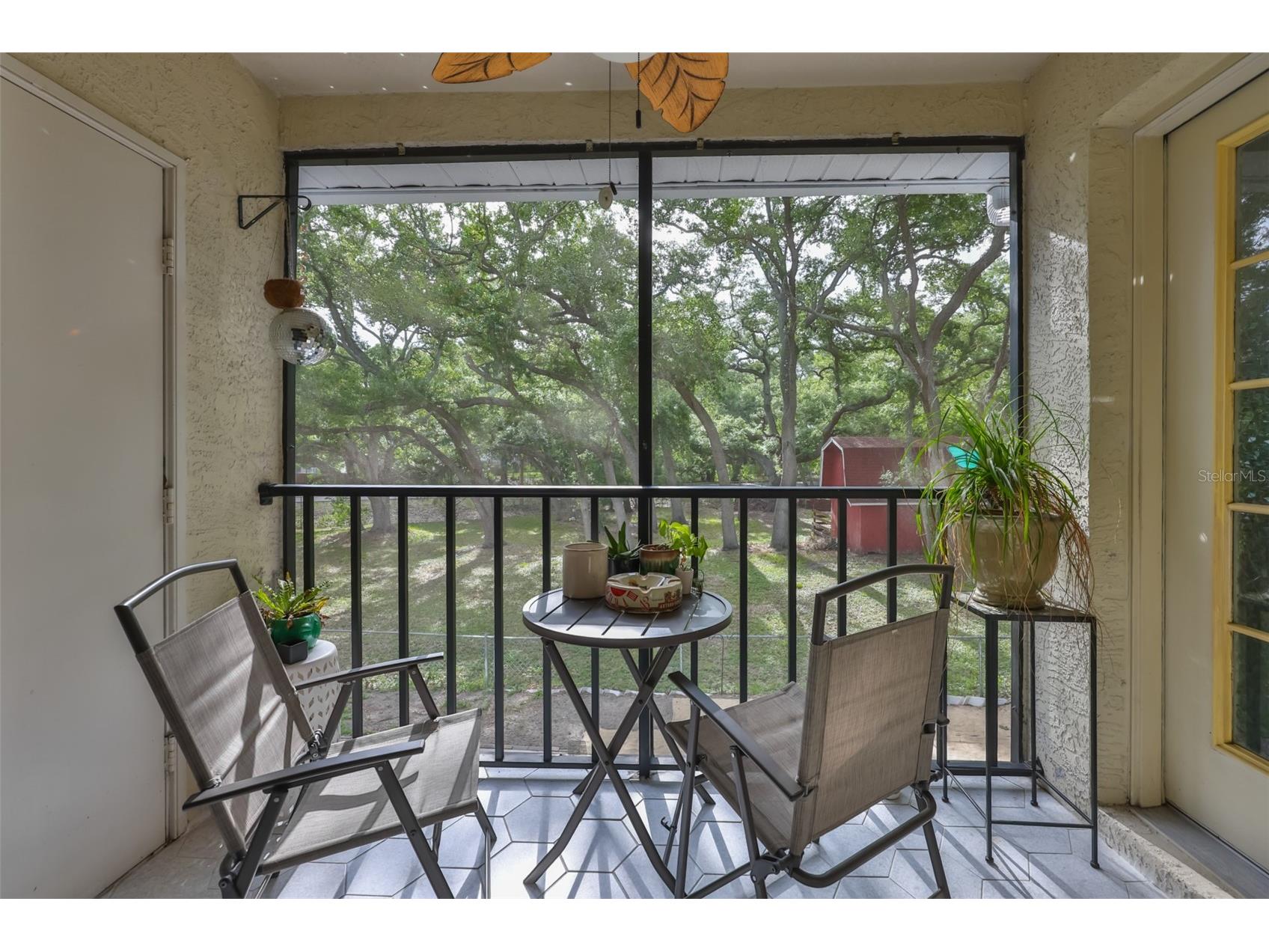 11800 Park Boulevard #308 Seminole FL 33772 TB8521300 image25