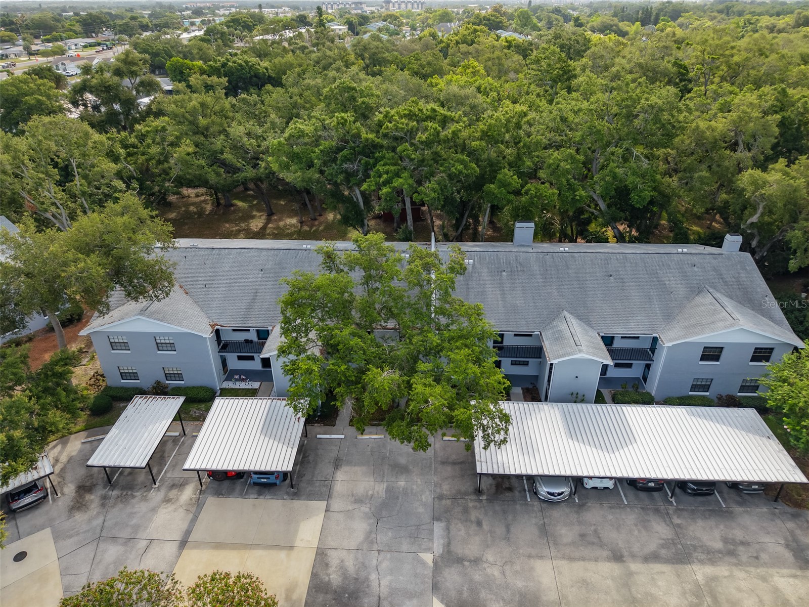 11800 Park Boulevard #308 Seminole FL 33772 TB8521300 image30
