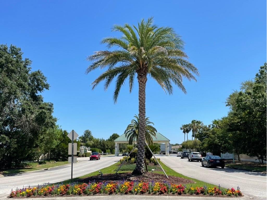 11800 SE 91st Circle Summerfield FL 34491 OM717088 image42