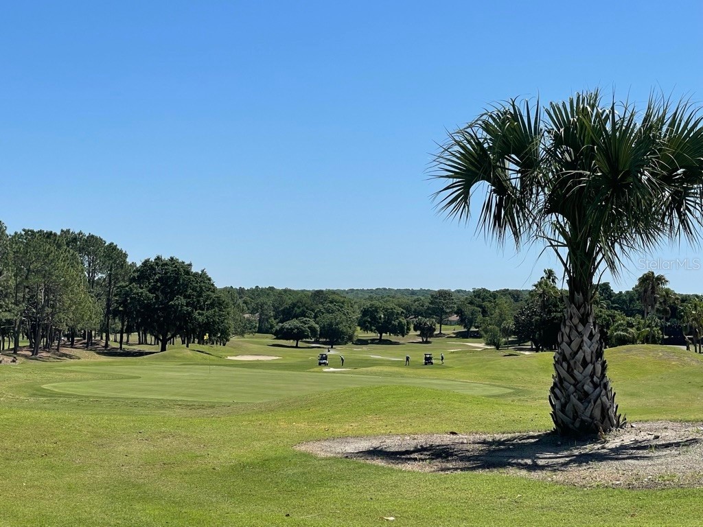 11800 SE 91st Circle Summerfield FL 34491 OM717088 image47