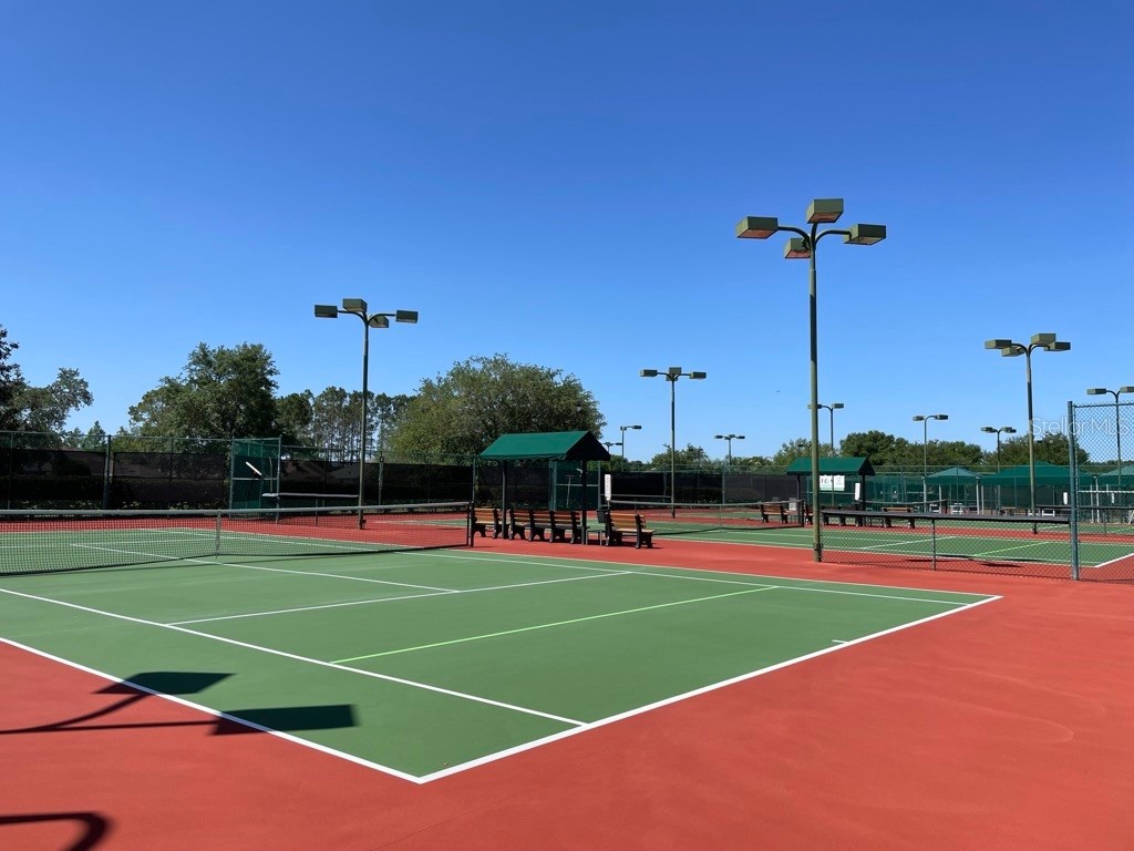 11800 SE 91st Circle Summerfield FL 34491 OM717088 image60