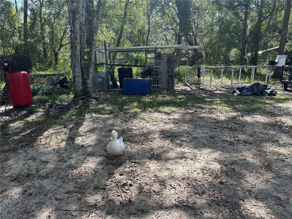 11800 State Road 60 E Lake Wales FL 33898 S5133558 image15