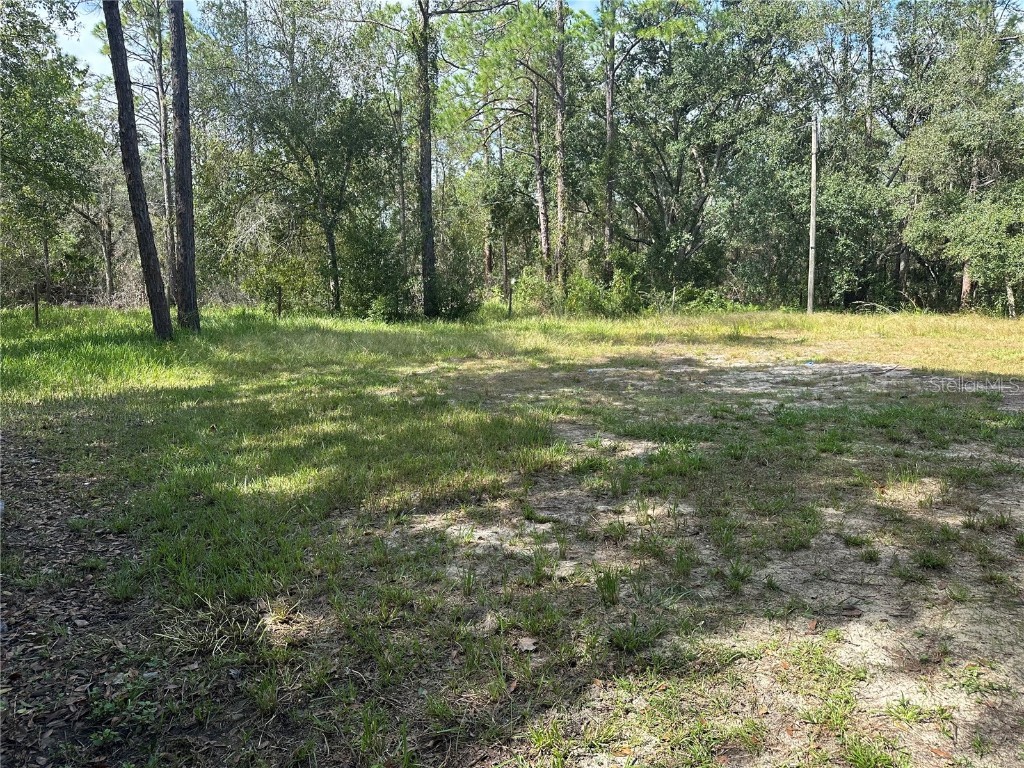 11800 State Road 60 E Lake Wales FL 33898 S5133558 image19