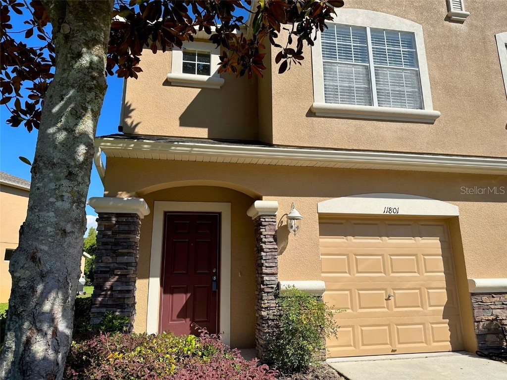 11801 Castine Street New Port Richey FL 34654 W7857940 image1