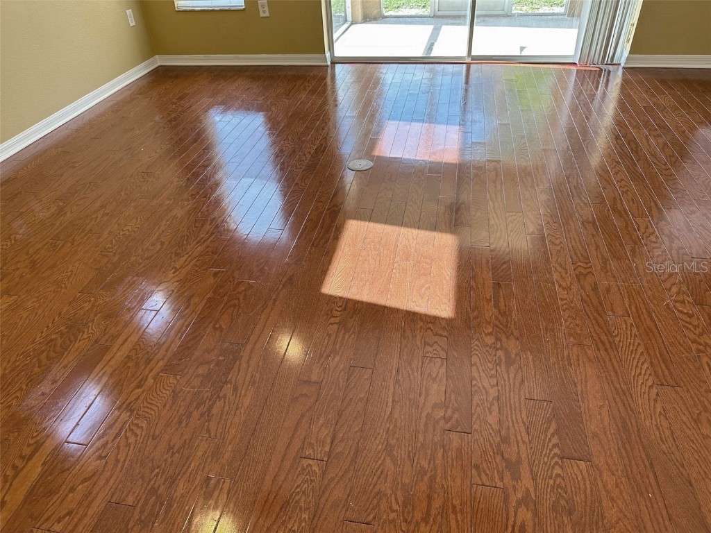 11801 Castine Street New Port Richey FL 34654 TB8448774 image16