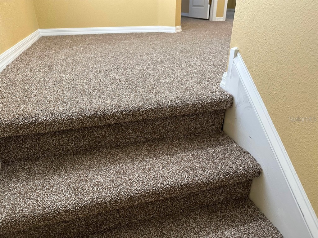 11801 Castine Street New Port Richey FL 34654 TB8448774 image23