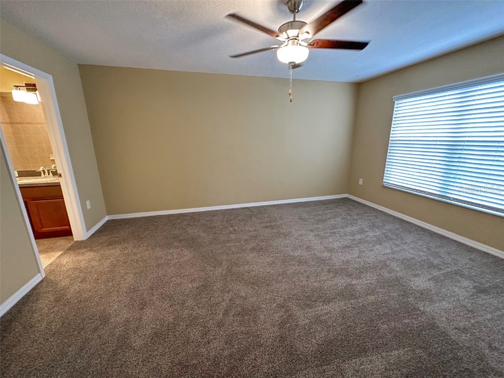 11801 Castine Street New Port Richey FL 34654 TB8448774 image25