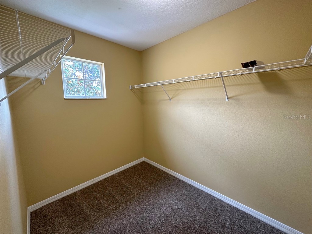 11801 Castine Street New Port Richey FL 34654 TB8448774 image33