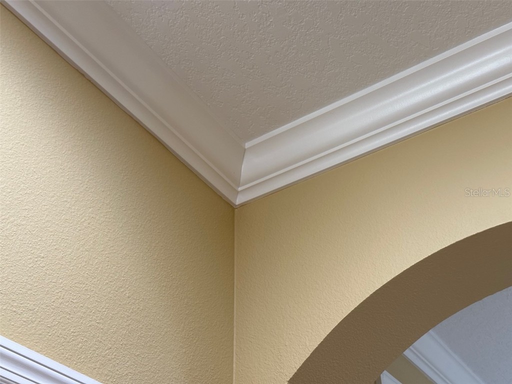 11801 Castine Street New Port Richey FL 34654 TB8448774 image36