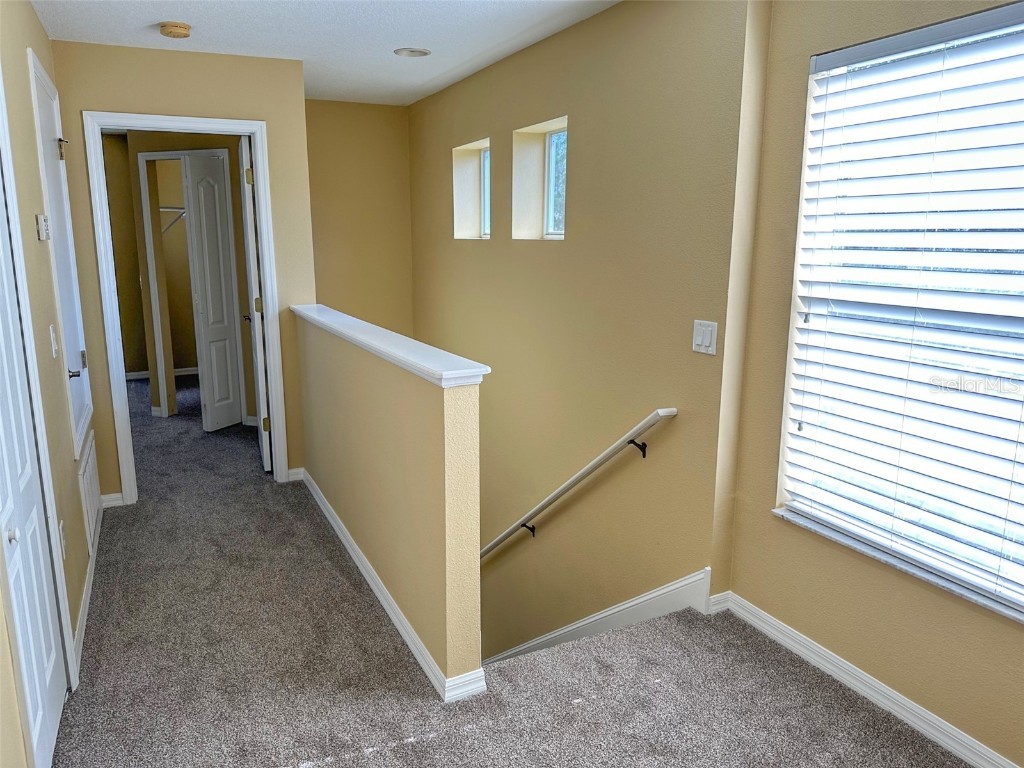 11801 Castine Street New Port Richey FL 34654 TB8448774 image37