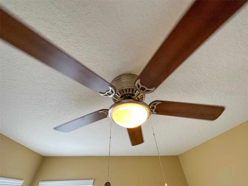 11801 Castine Street New Port Richey FL 34654 TB8448774 image39