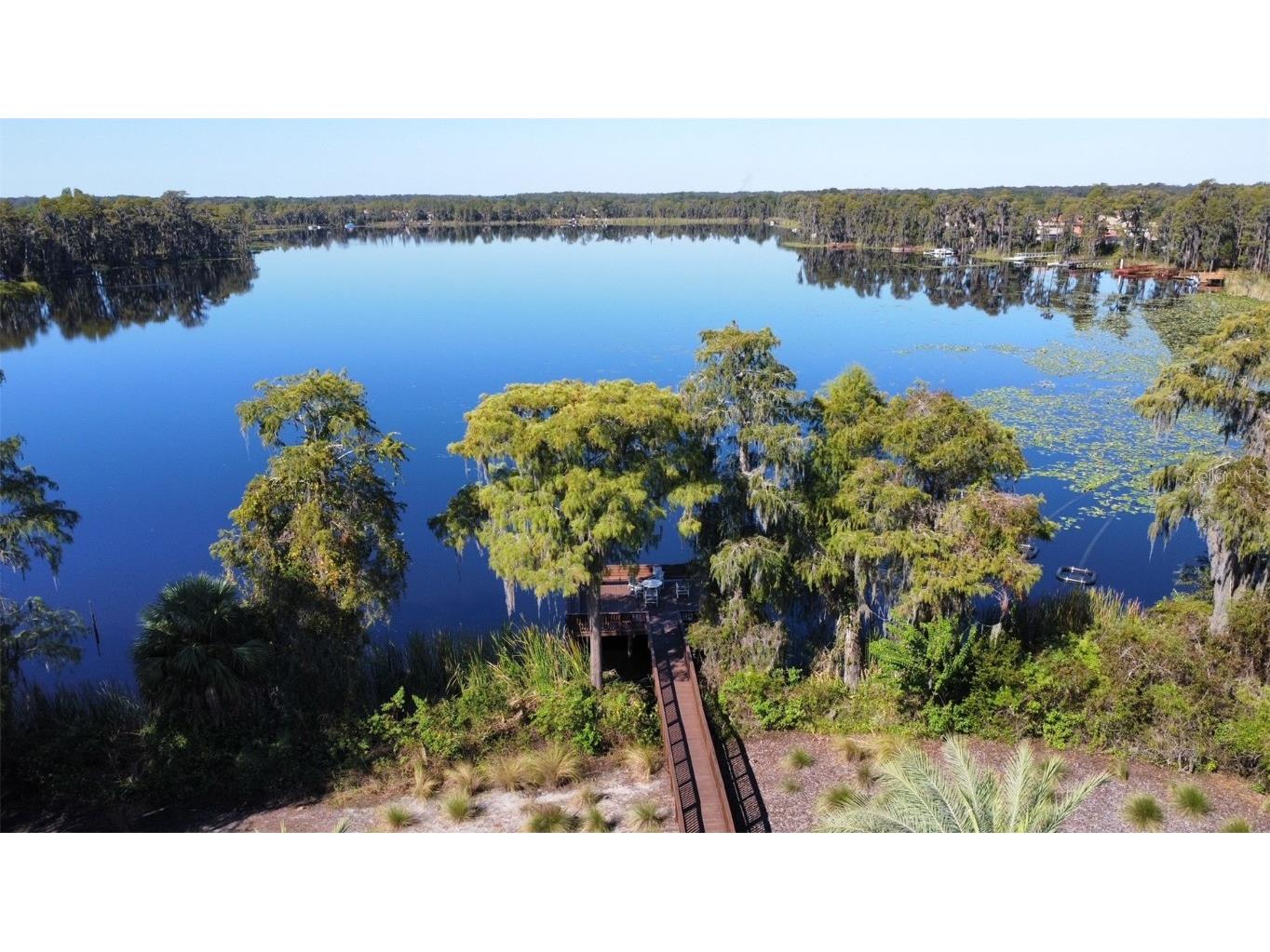 11801 Castine Street New Port Richey FL 34654 TB8448774 image61