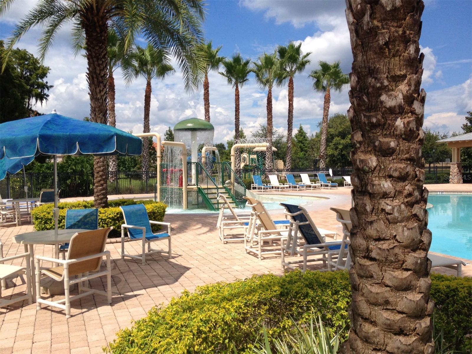 11801 Castine Street New Port Richey FL 34654 TB8448774 image79