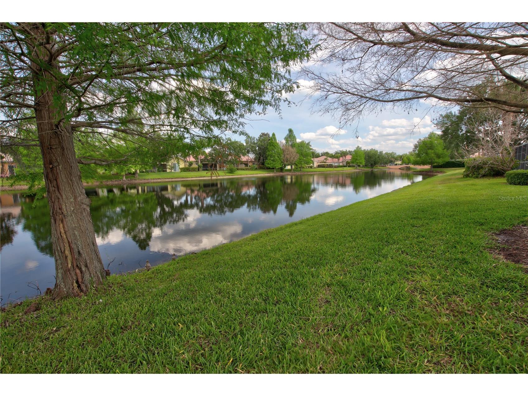 11801 Fan Tail Lane Orlando FL 32827 O6404265 image4