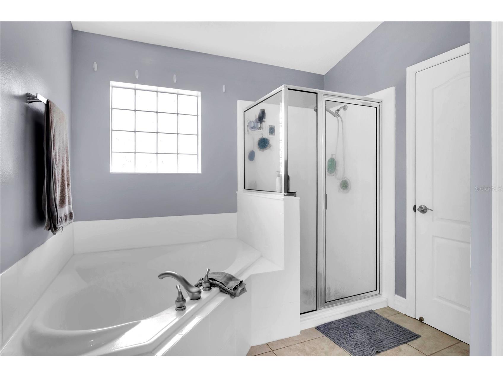 11802 Grand Hills Boulevard Clermont FL 34711 G5114933 image14