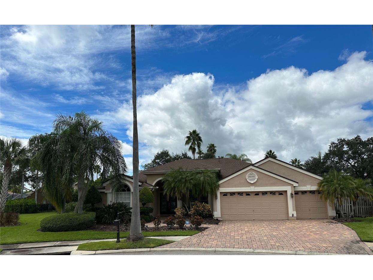 11802 Middlebury Drive Tampa FL 33626 T3481099 image1