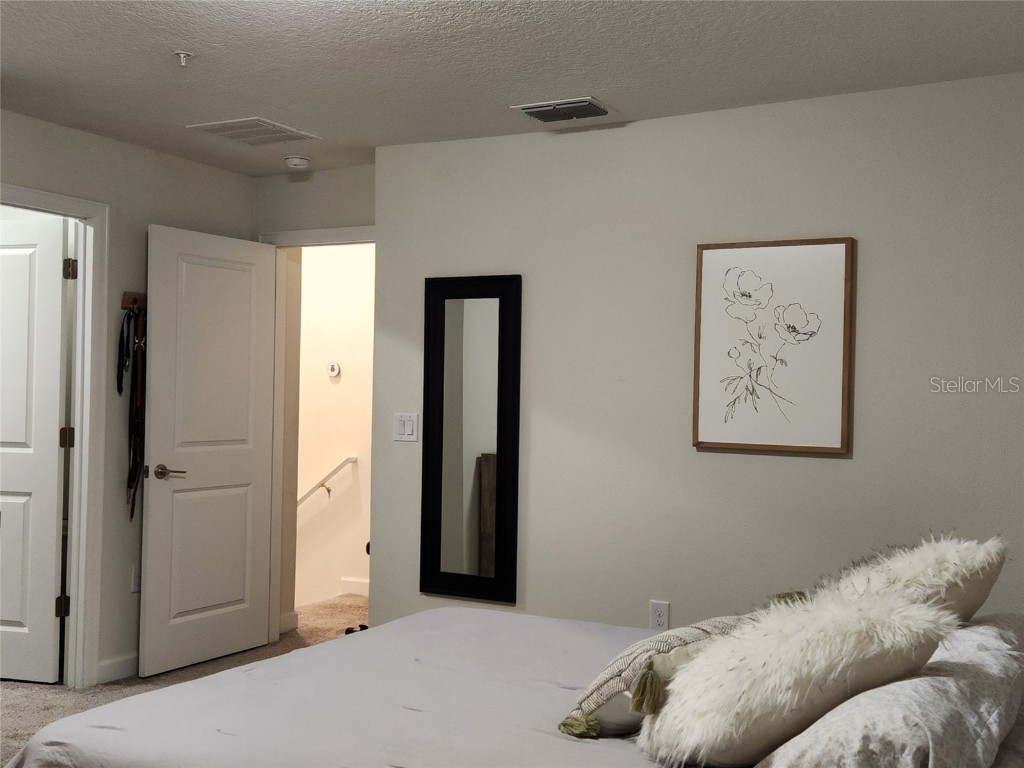 11802 Pulitzer Place Orlando FL 32832 O6320344 image16