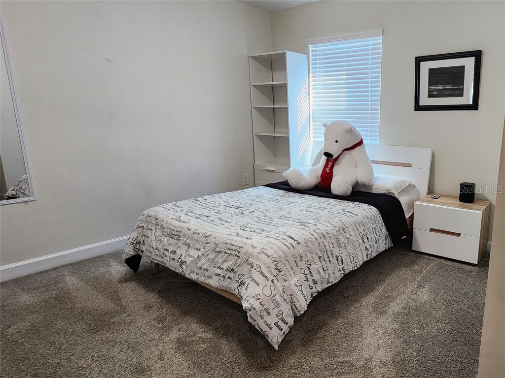 11802 Pulitzer Place Orlando FL 32832 O6320344 image24