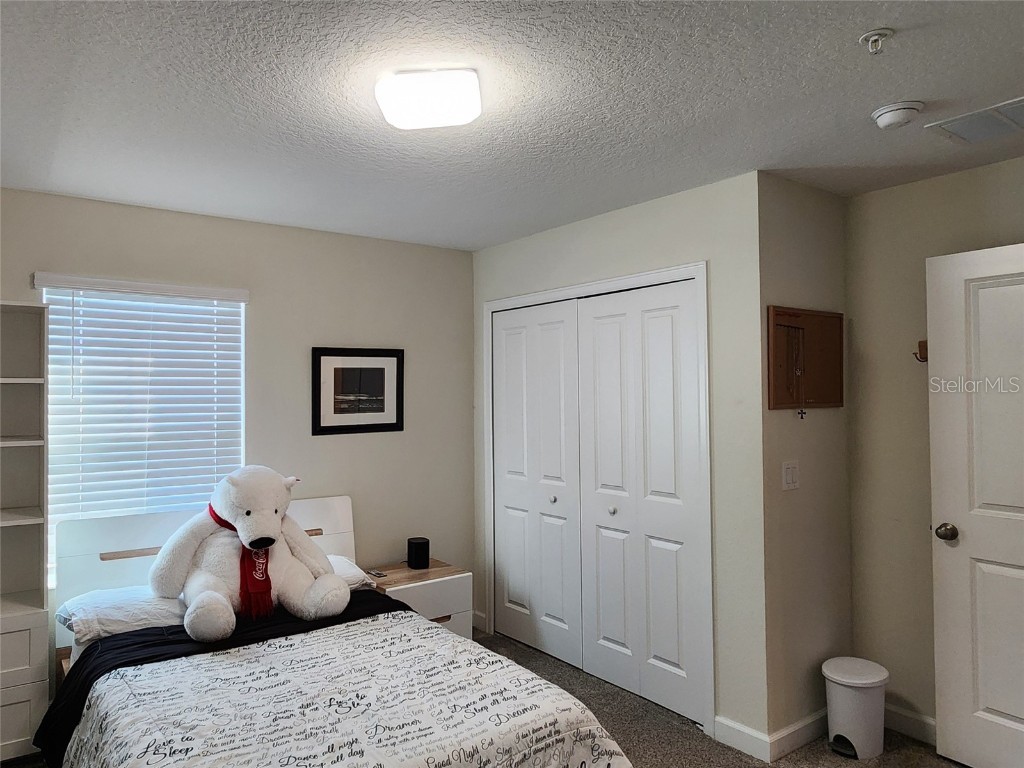 11802 Pulitzer Place Orlando FL 32832 O6320344 image26