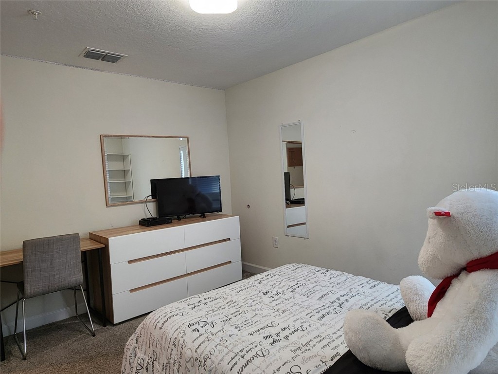 11802 Pulitzer Place Orlando FL 32832 O6320344 image27