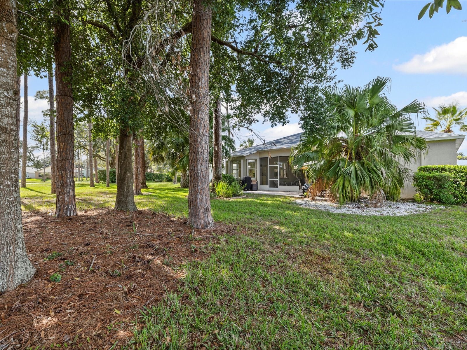 11802 Wayside Willow Court Hudson FL 34667 W7880780 image33