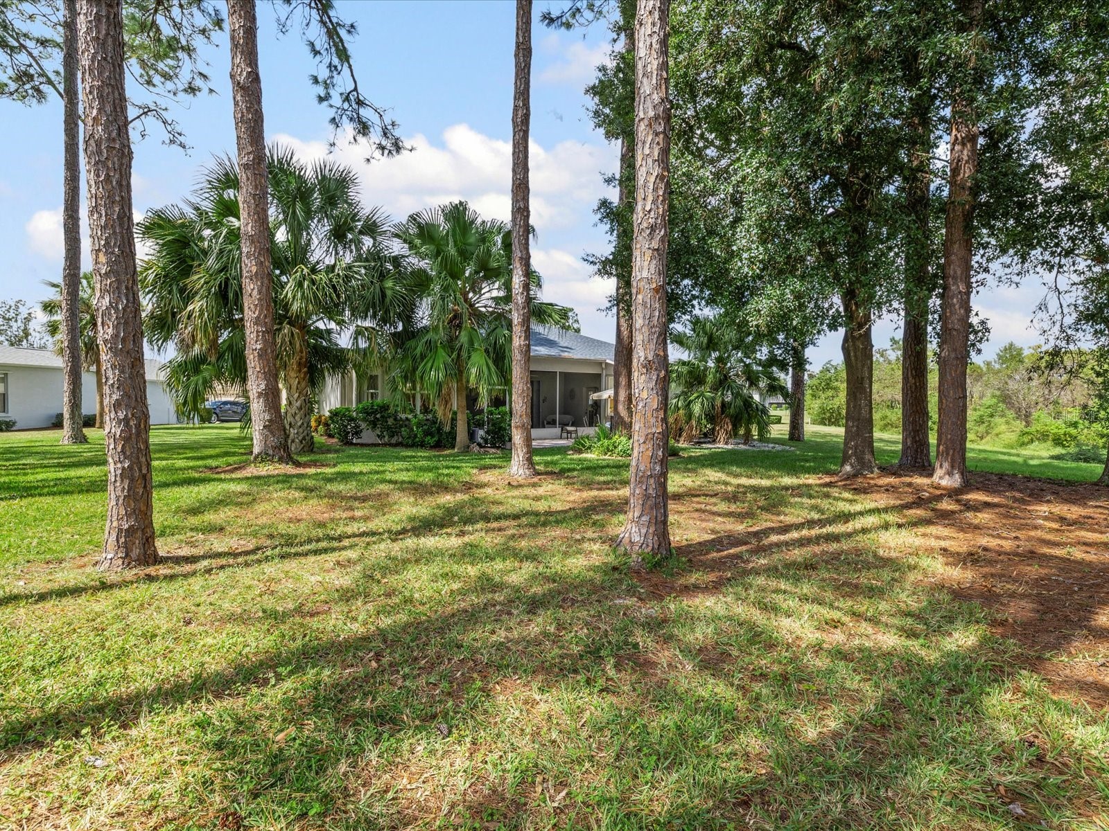 11802 Wayside Willow Court Hudson FL 34667 W7880780 image34