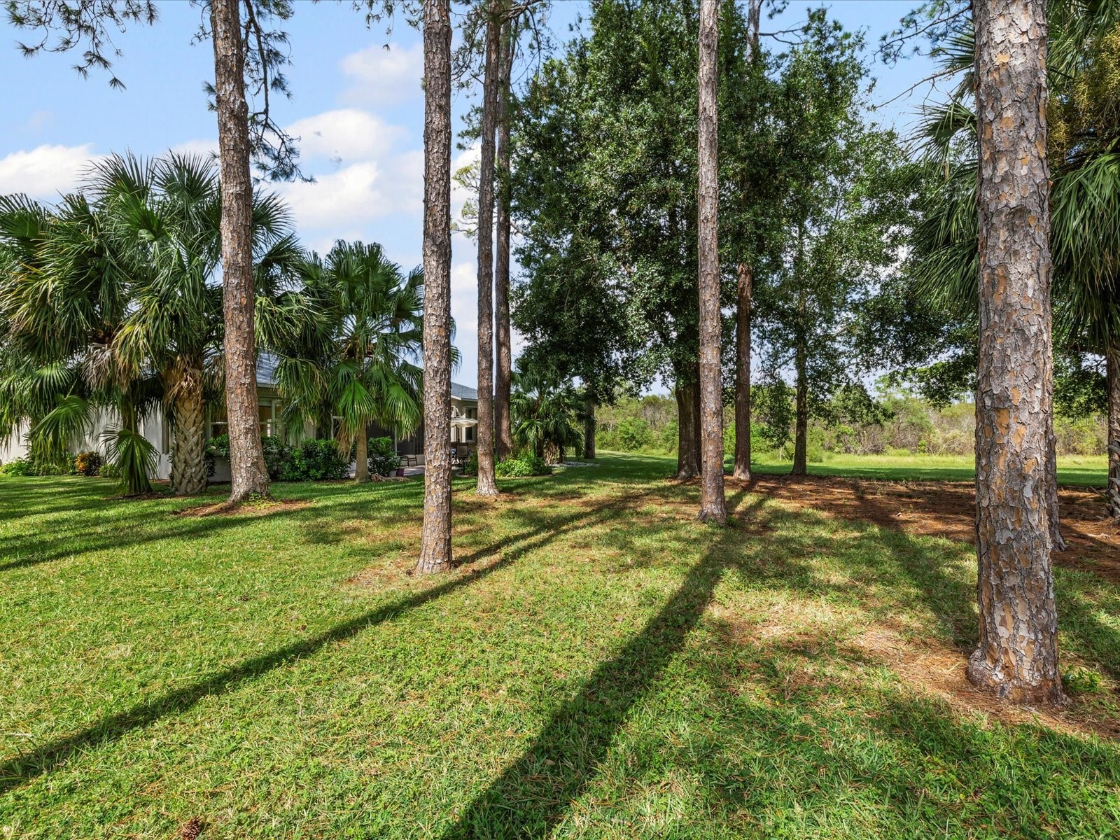 11802 Wayside Willow Court Hudson FL 34667 W7880780 image35