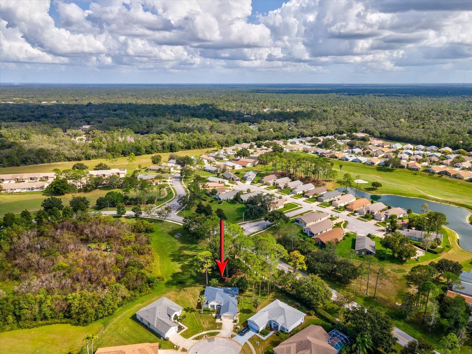 11802 Wayside Willow Court Hudson FL 34667 W7880780 image42