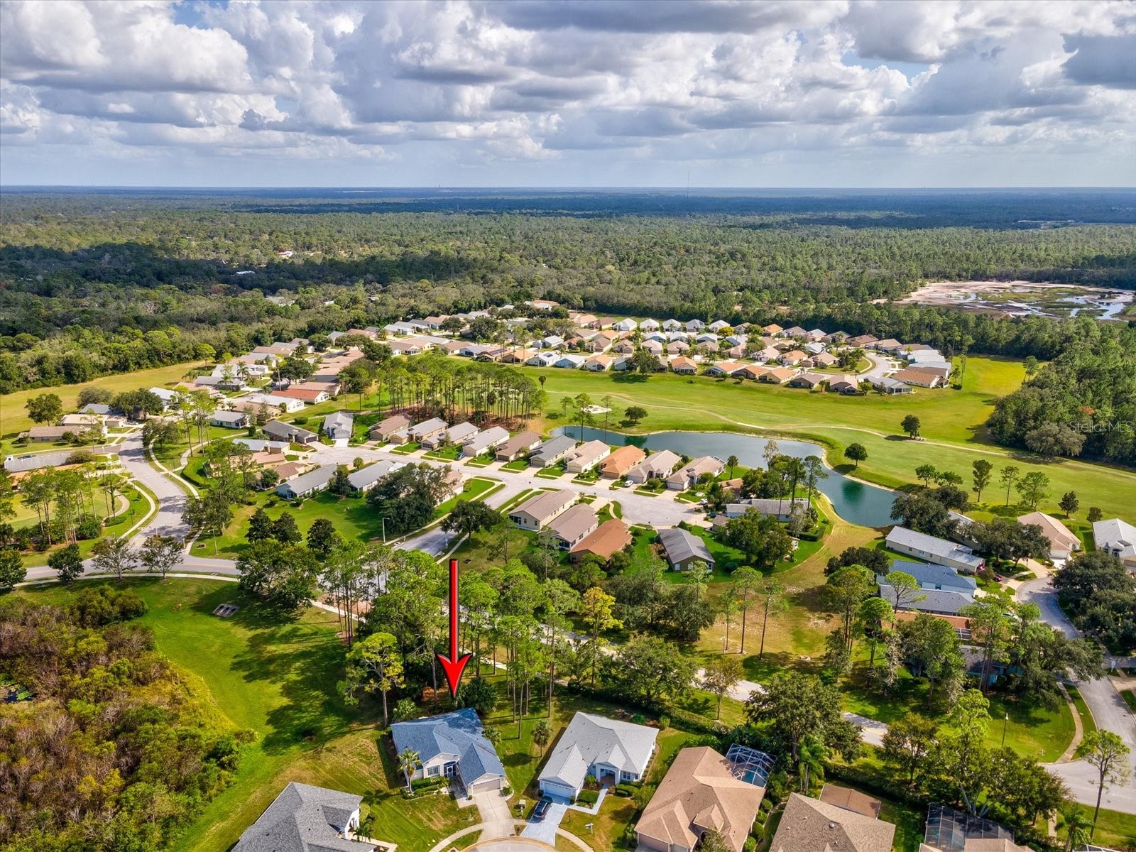 11802 Wayside Willow Court Hudson FL 34667 W7880780 image43