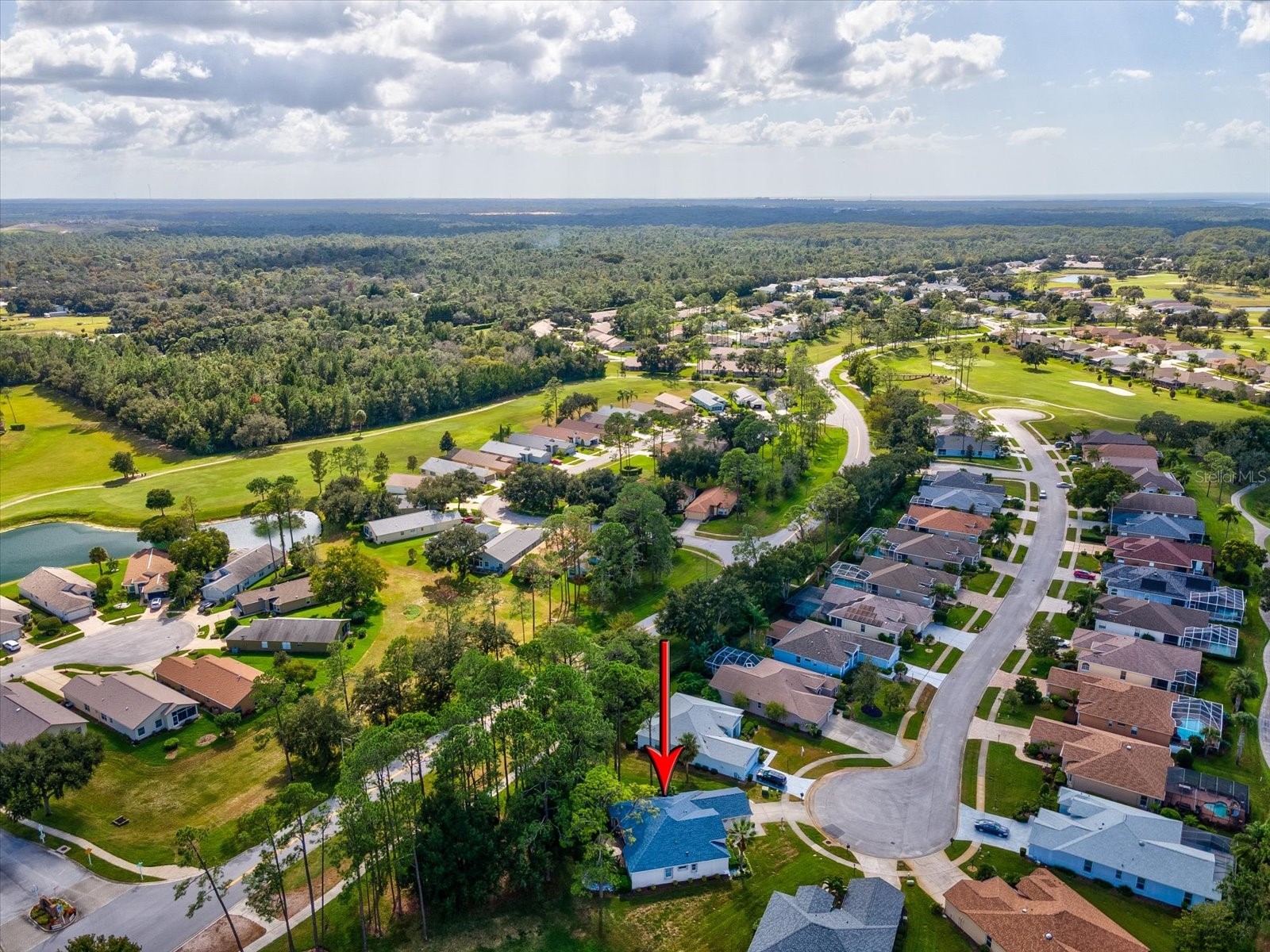 11802 Wayside Willow Court Hudson FL 34667 W7880780 image44