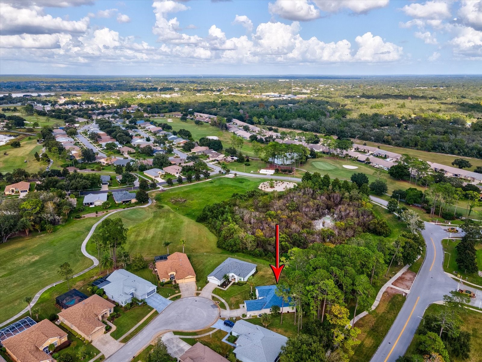 11802 Wayside Willow Court Hudson FL 34667 W7880780 image45