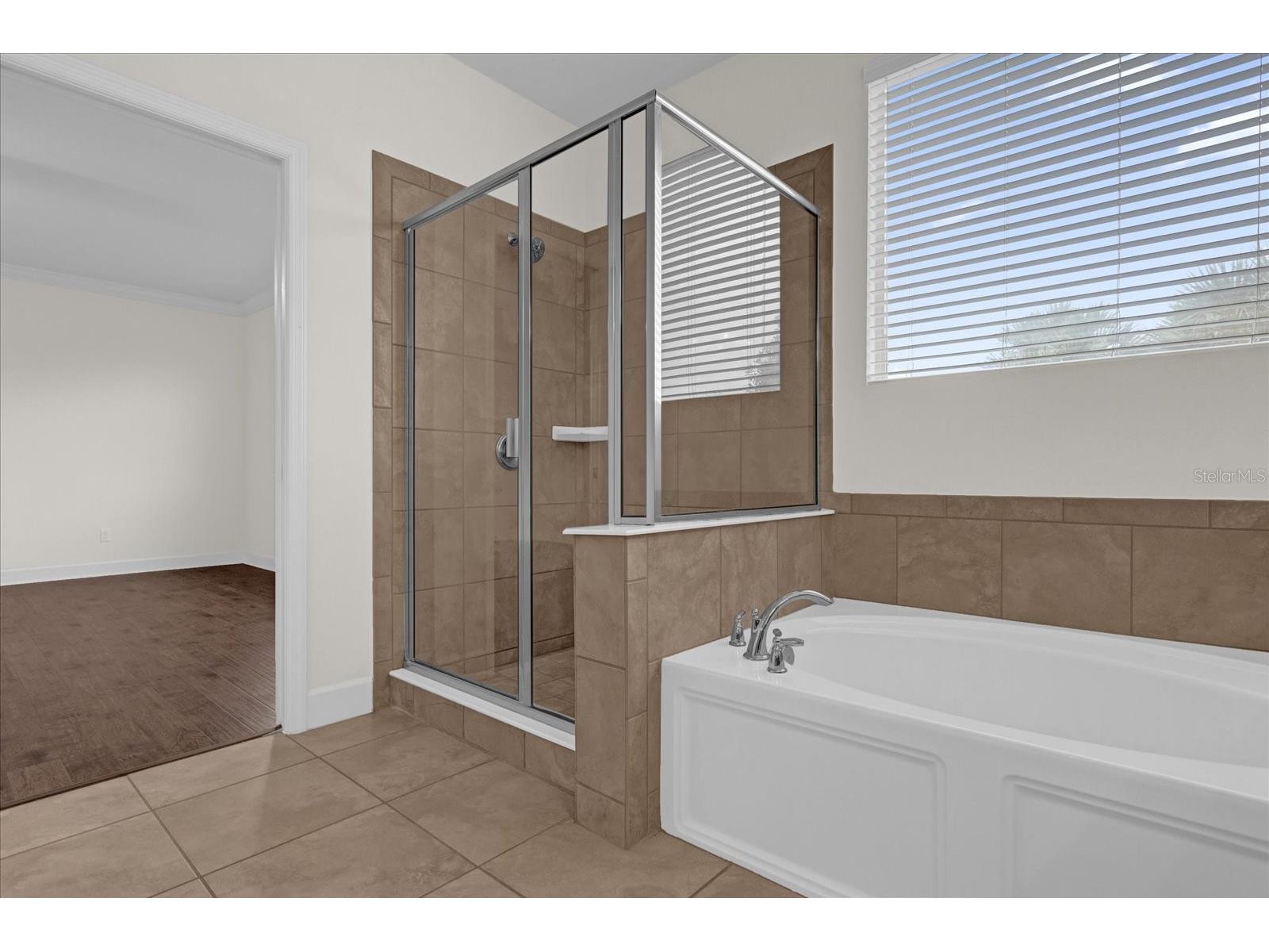 11803 Aurelio Lane Orlando FL 32827 O6388141 image34