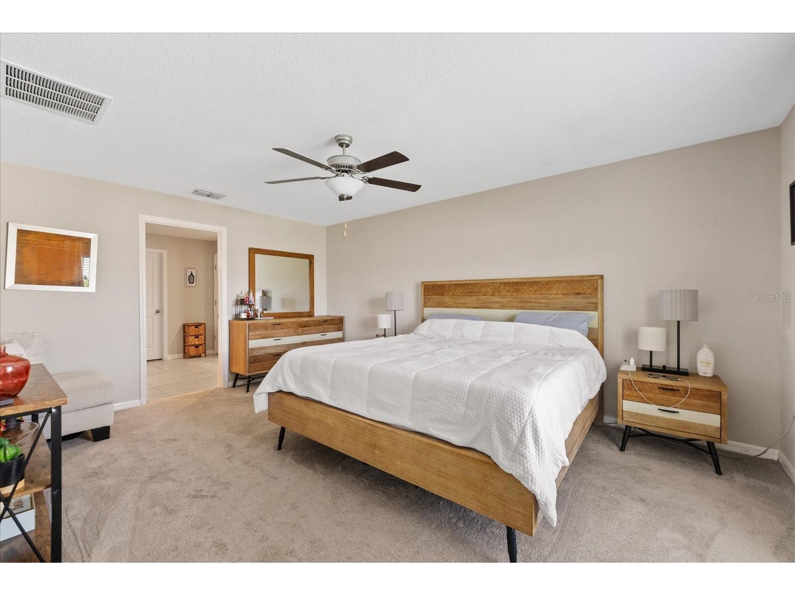 11803 Blackeyed Susan Drive Riverview FL 33579 TB8527318 image30