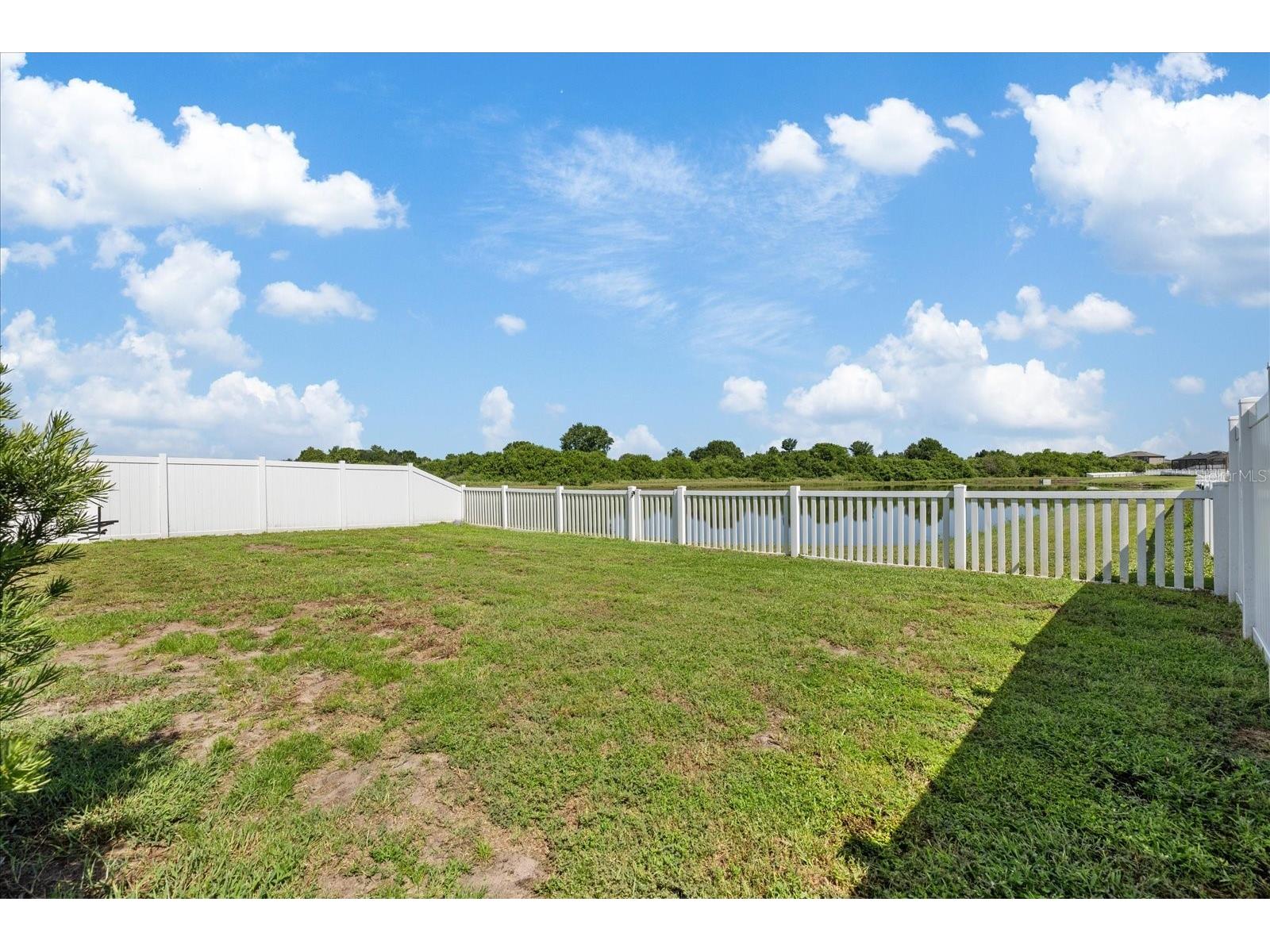 11803 Blackeyed Susan Drive Riverview FL 33579 TB8527318 image36