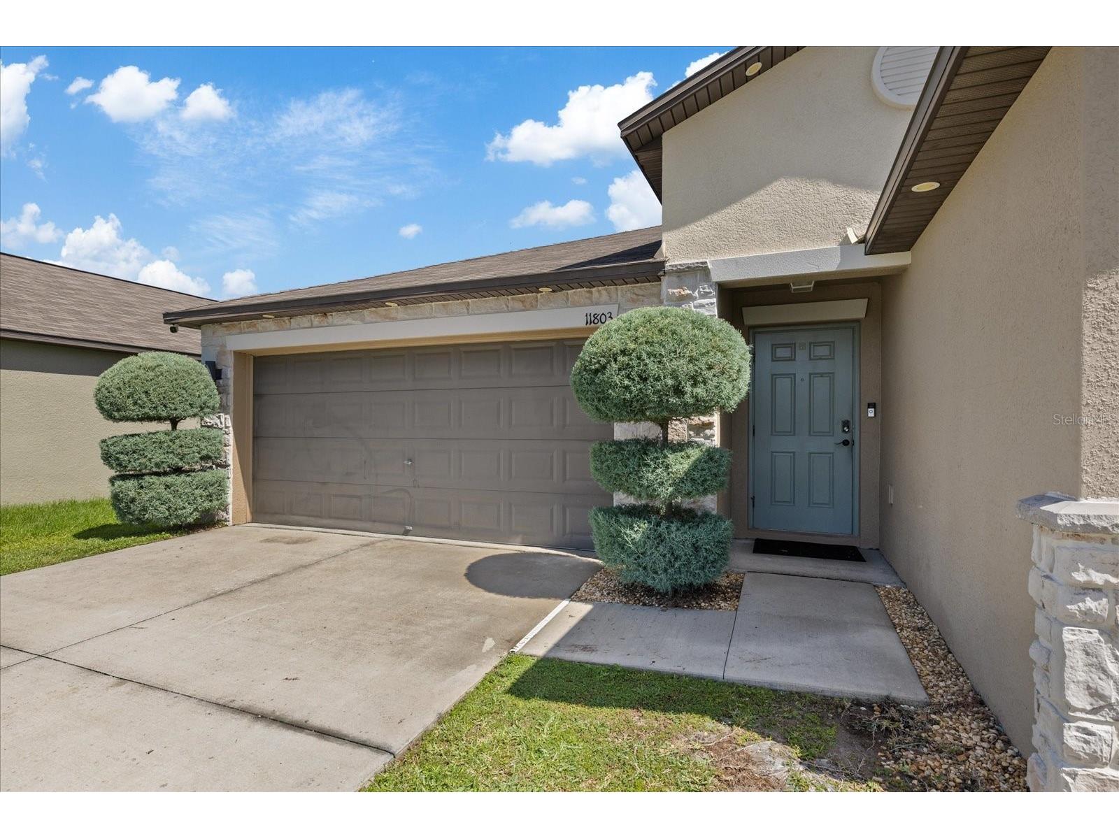 11803 Blackeyed Susan Drive Riverview FL 33579 TB8527318 image5