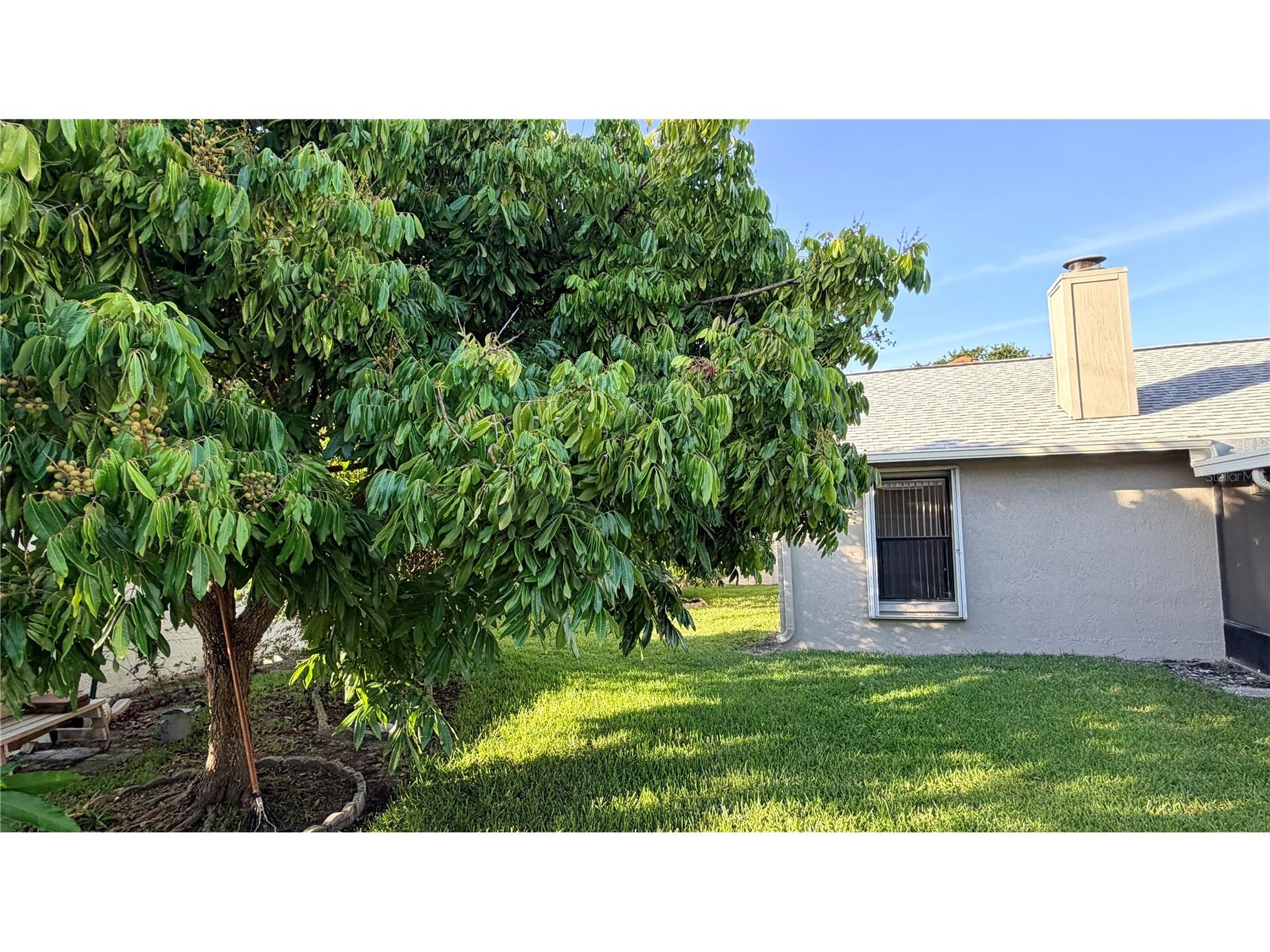 11803 Classic Lake Way Tampa FL 33635 TB8519715 image13