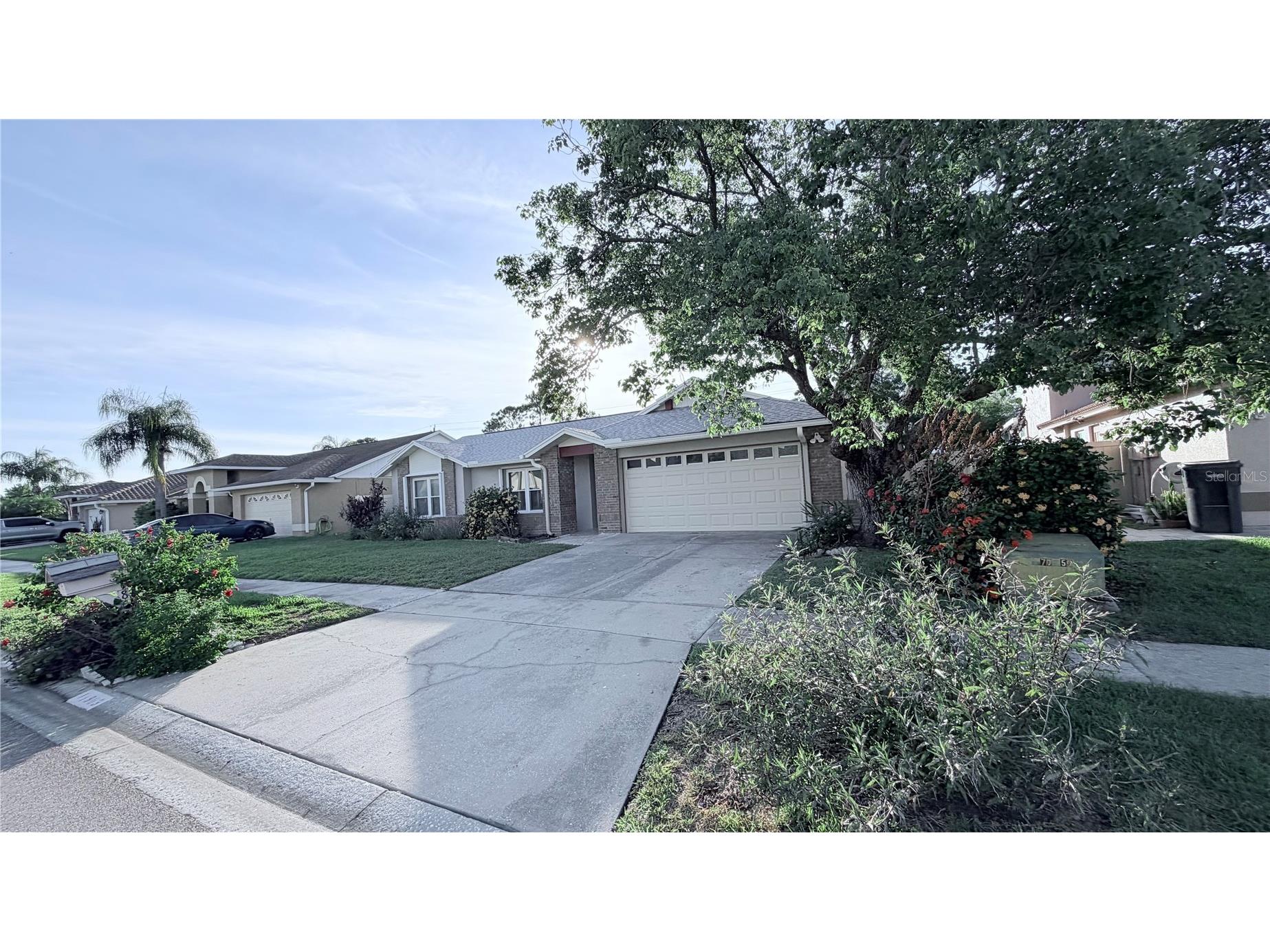 11803 Classic Lake Way Tampa FL 33635 TB8519715 image28