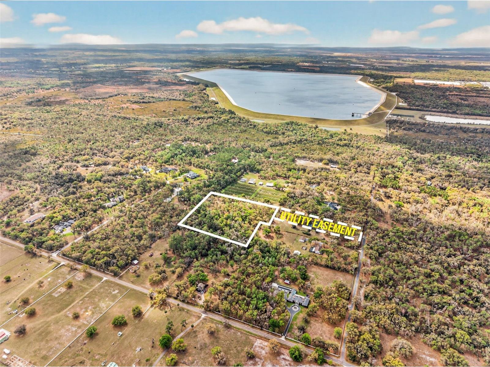 11803 Dog Hollow Lane Lithia FL 33547 TB8490347 image10