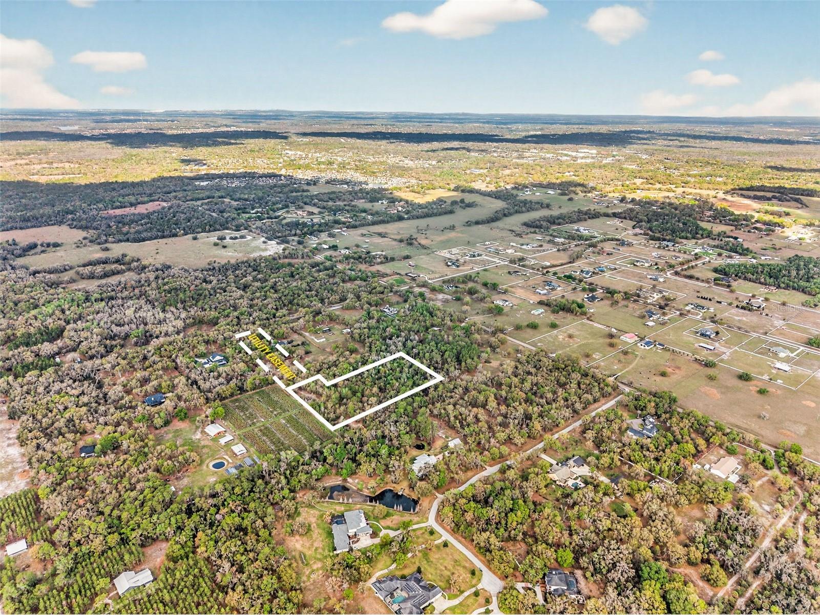 11803 Dog Hollow Lane Lithia FL 33547 TB8490347 image12