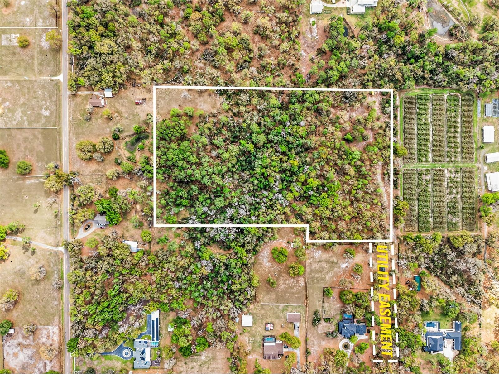 11803 Dog Hollow Lane Lithia FL 33547 TB8490347 image13