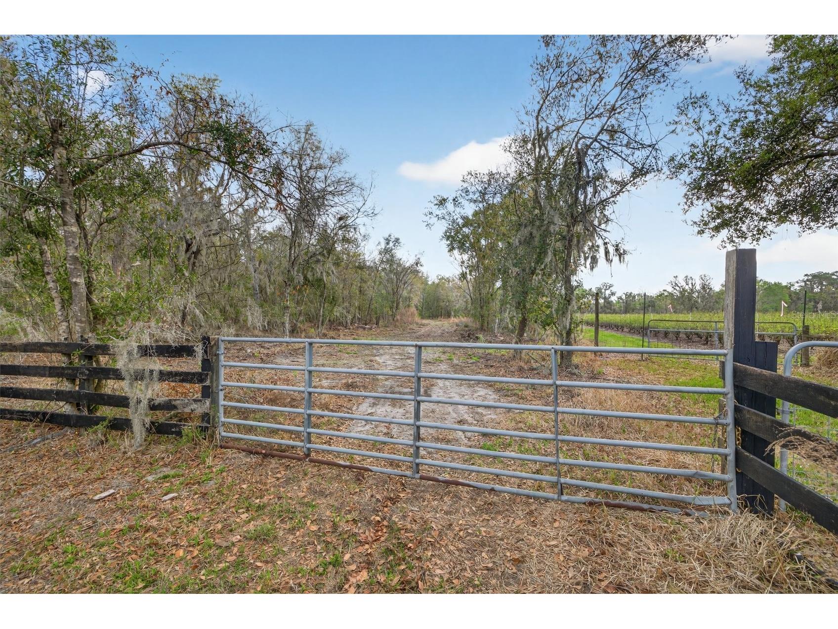 11803 Dog Hollow Lane Lithia FL 33547 TB8490347 image2