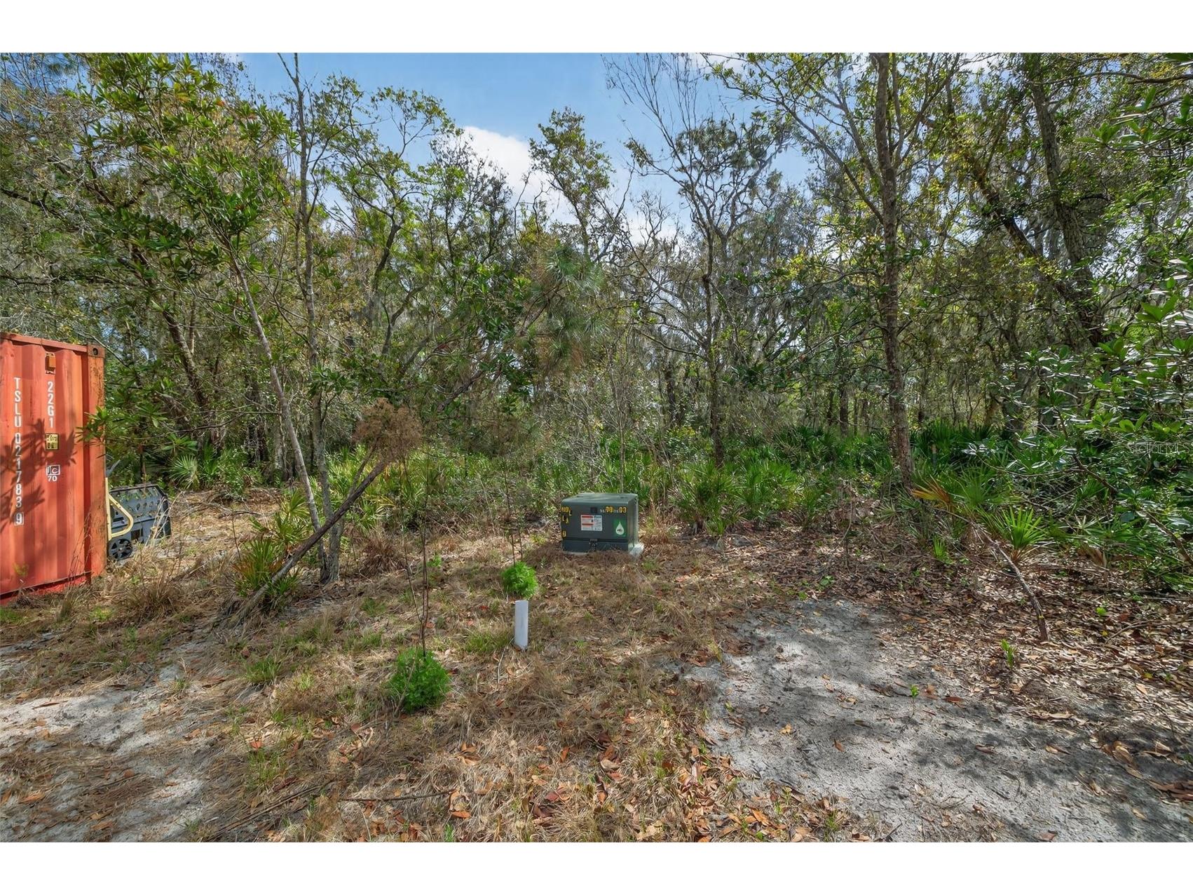 11803 Dog Hollow Lane Lithia FL 33547 TB8490347 image3