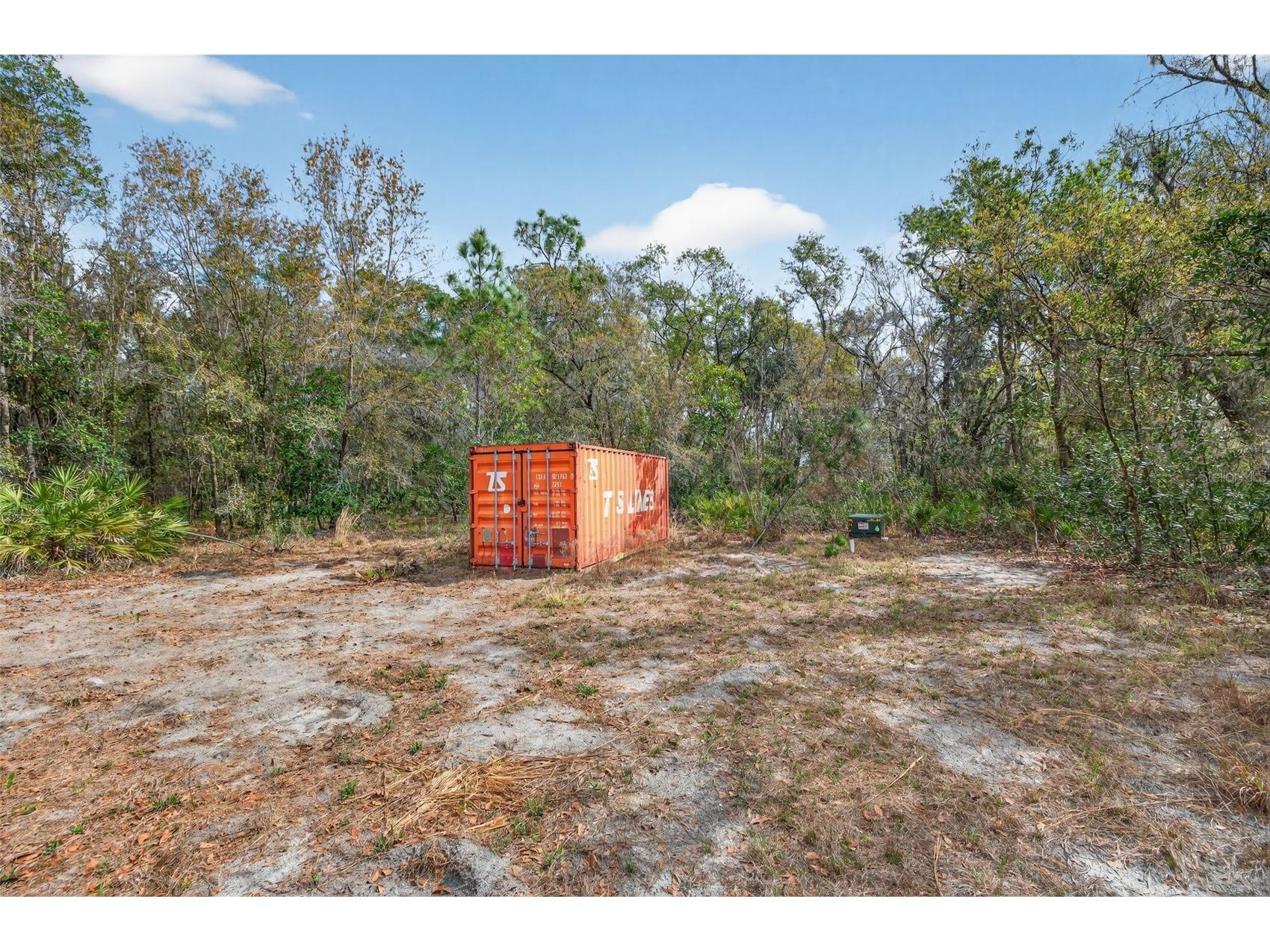 11803 Dog Hollow Lane Lithia FL 33547 TB8490347 image4