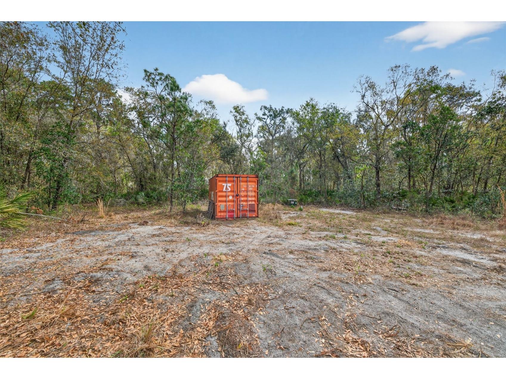 11803 Dog Hollow Lane Lithia FL 33547 TB8490347 image5